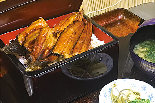 季節料理たにぐち