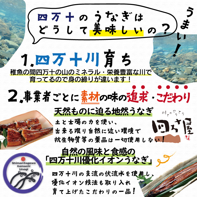 四万十のうなぎはどうして美味しいの？
