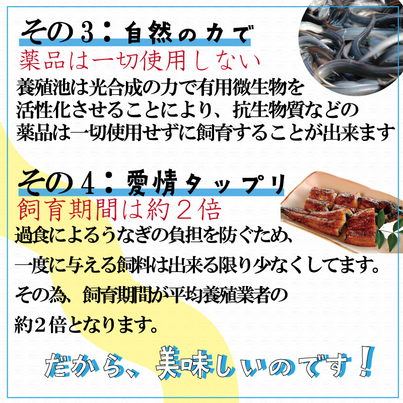 土佐うなぎ蒲焼き四万十食品のこだわり