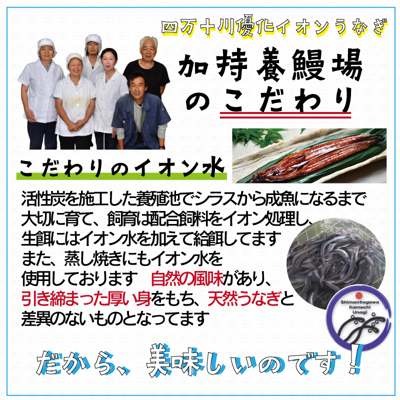 四万十川優化イオンうなぎ