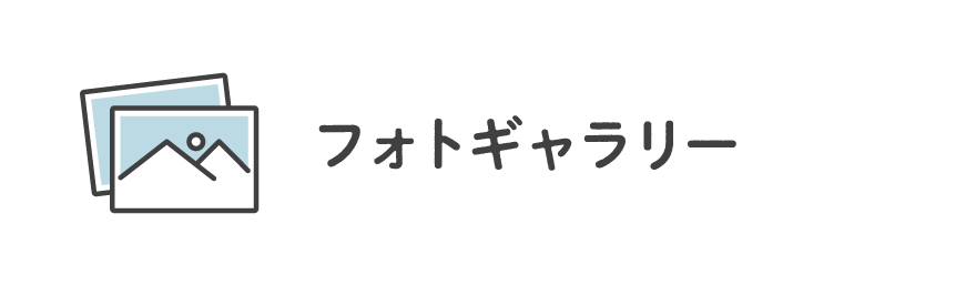 フォトギャラリー