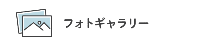 フォトギャラリー