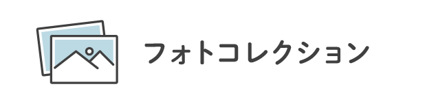 フォトコレクション